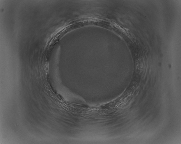 X0000070191303200605301302