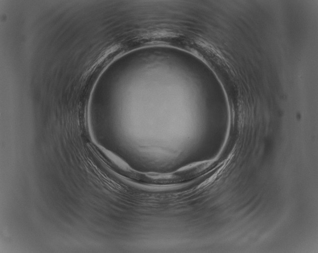 X0000070191305200605301302