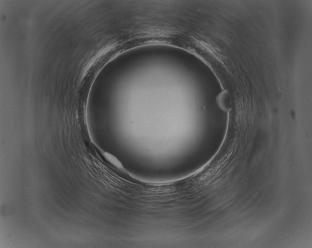 X0000070191307200605301302