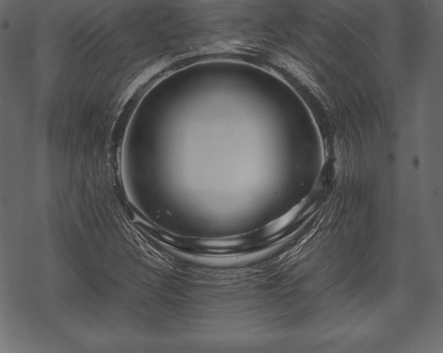 X0000070191308200605301302