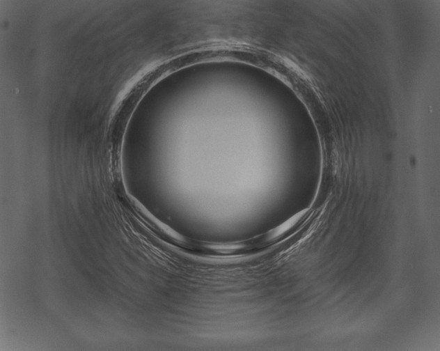 X0000070191310200605301302