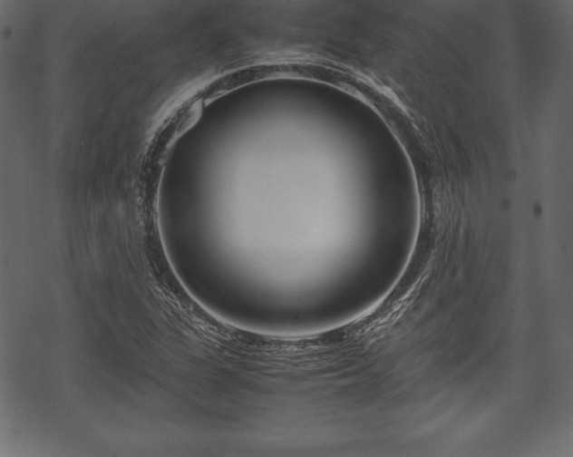 X0000070191311200605301302