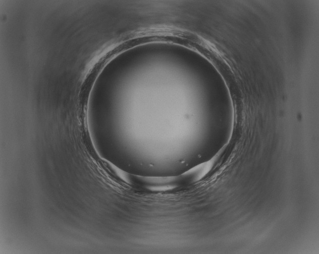 X0000070191312200605301303