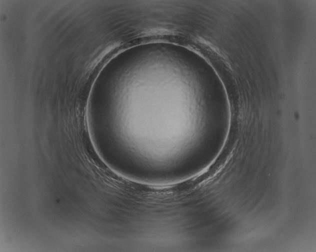 X0000070191313200605301303