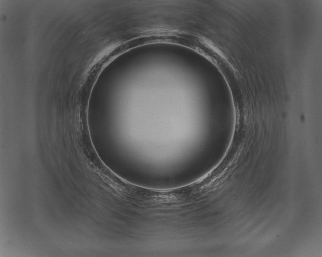 X0000070191315200605301303