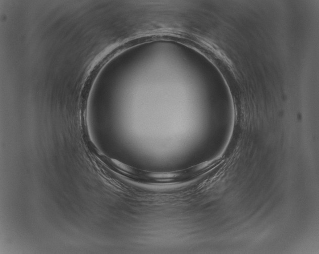 X0000070191316200605301303