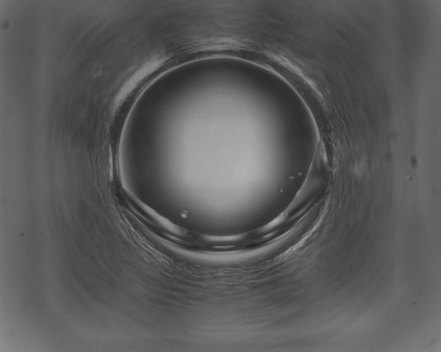 X0000070191317200605301303