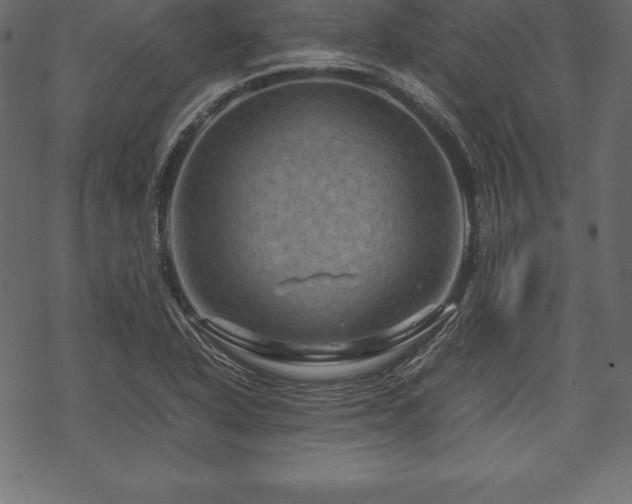 X0000070191318200605301303