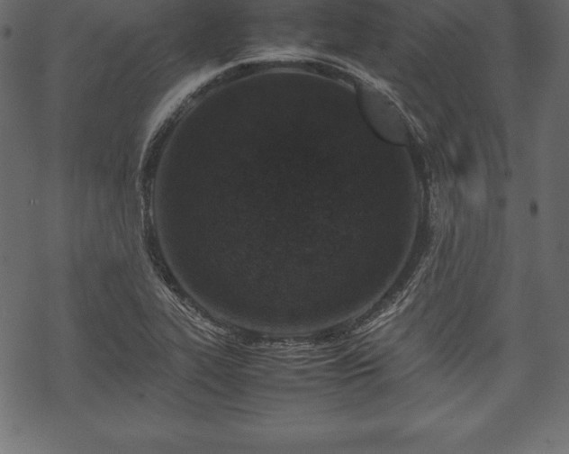 X0000070191319200605301303