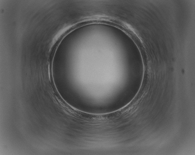 X0000070191320200605301303