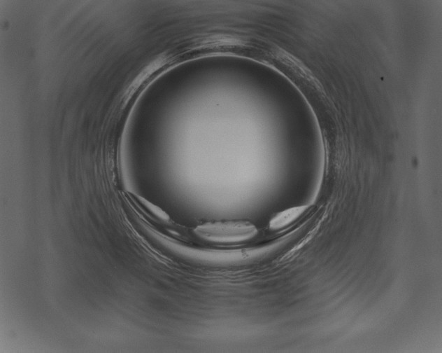 X0000070191321200605301303