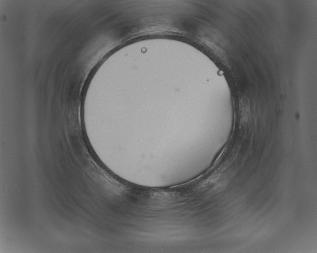 X0000070191322200605301303