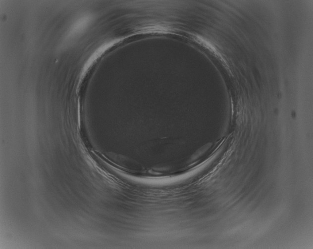 X0000070191323200605301303