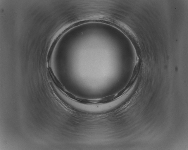 X0000070191324200605301303