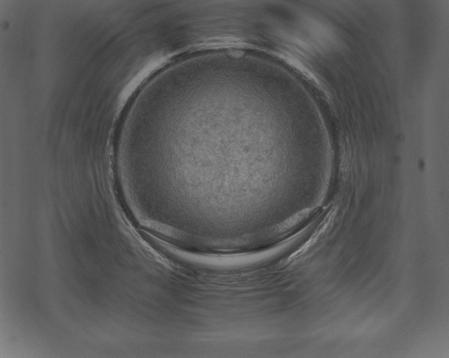 X0000070191325200605301303