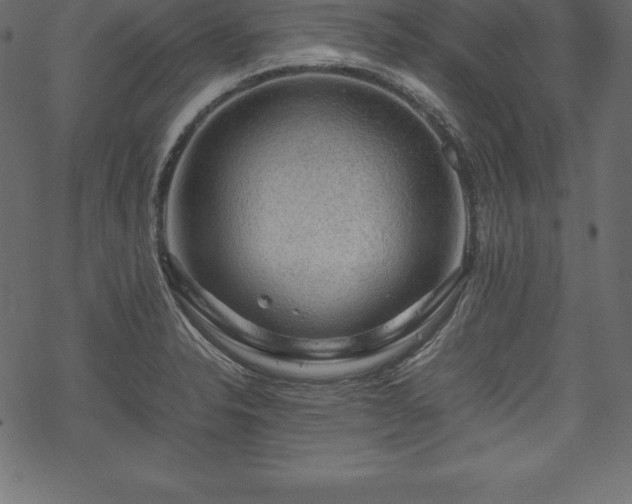 X0000070191326200605301303