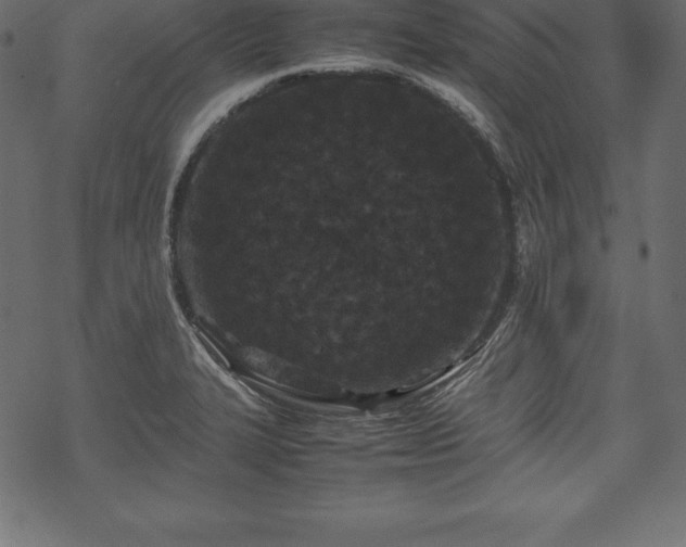 X0000070191327200605301303