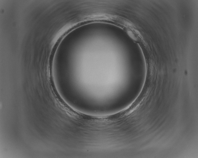 X0000070191328200605301303