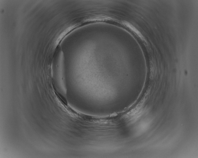 X0000070191329200605301303