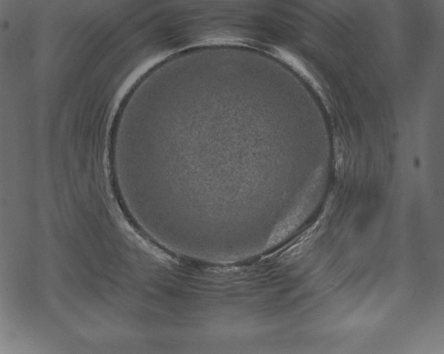 X0000070191331200605301303