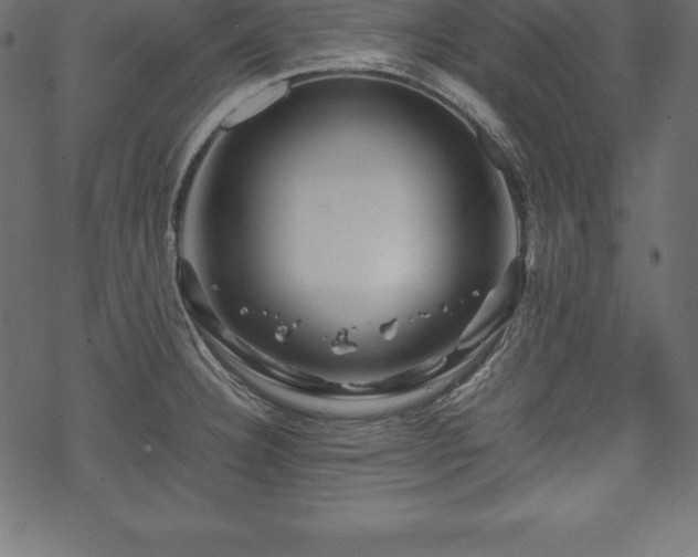 X0000070191332200605301303