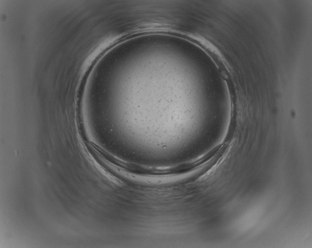 X0000070191333200605301303