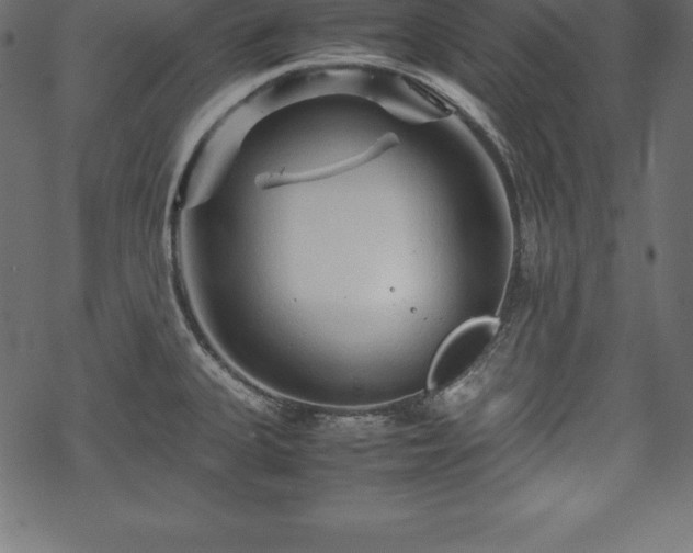 X0000070191335200605301303