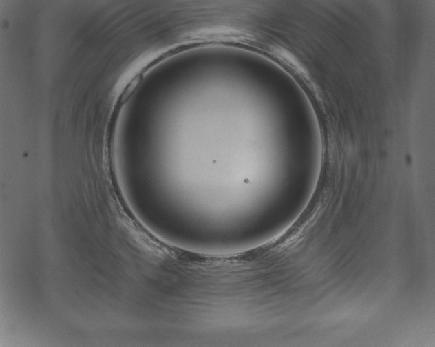 X0000070191336200605301303