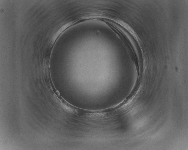 X0000070191337200605301303