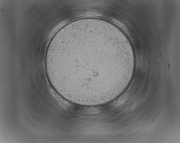 X0000070191338200605301303