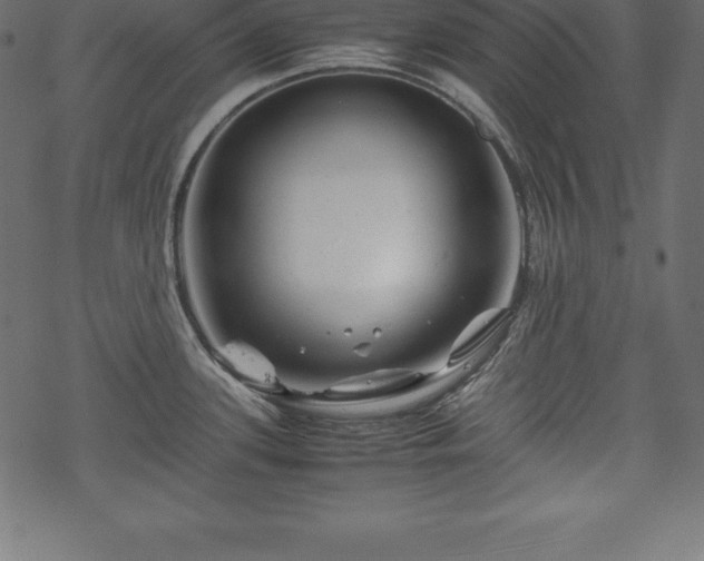 X0000070191339200605301303