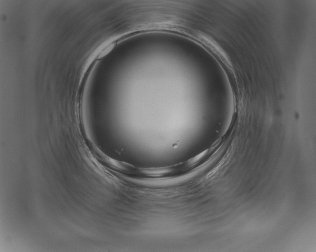 X0000070191340200605301303