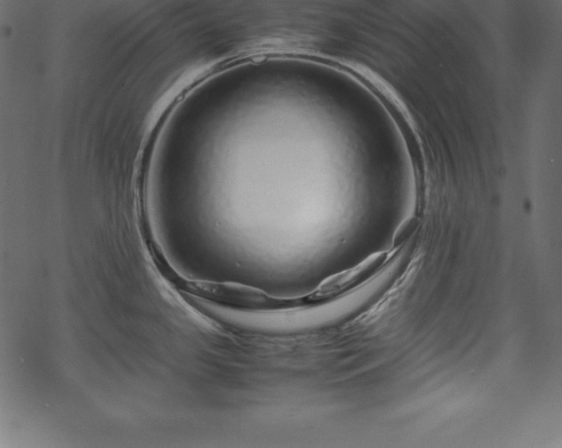 X0000070191341200605301303