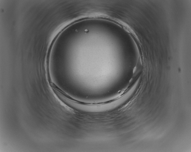 X0000070191343200605301303