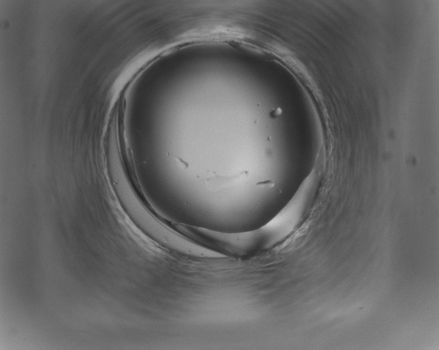 X0000070191344200605301303