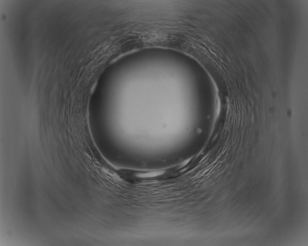 X0000070191345200605301302