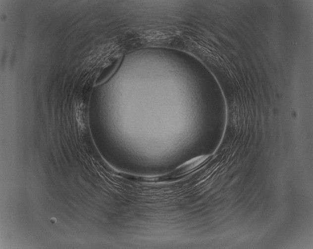 X0000070191346200605301302