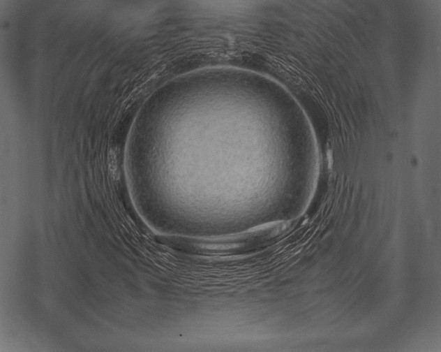 X0000070191347200605301302