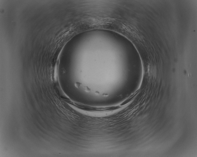 X0000070191348200605301302