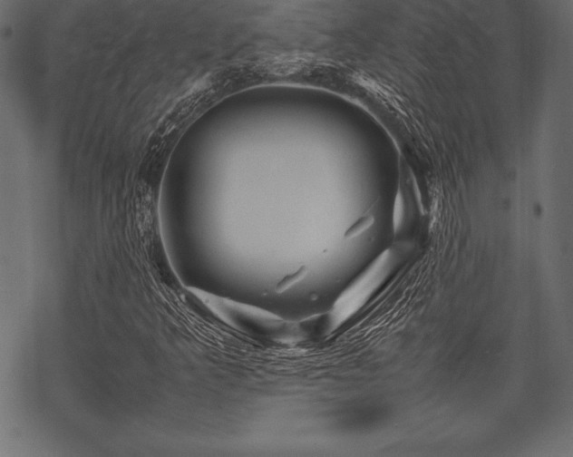 X0000070191349200605301302