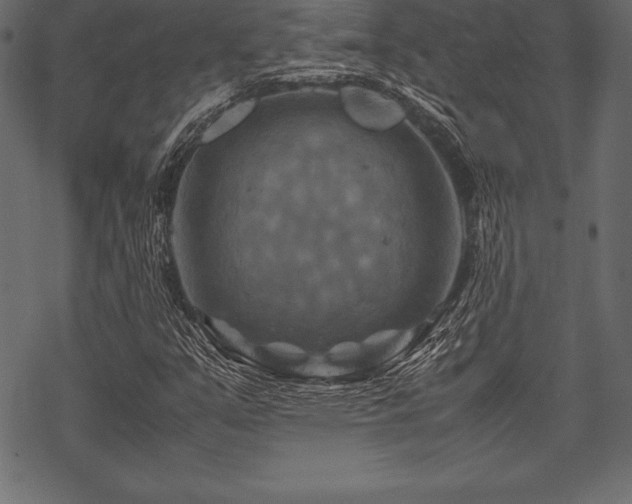 X0000070191351200605301302