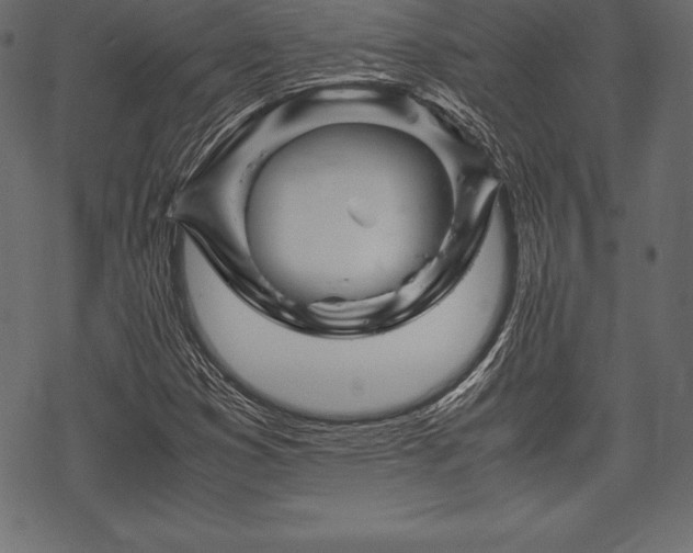 X0000070191353200605301302