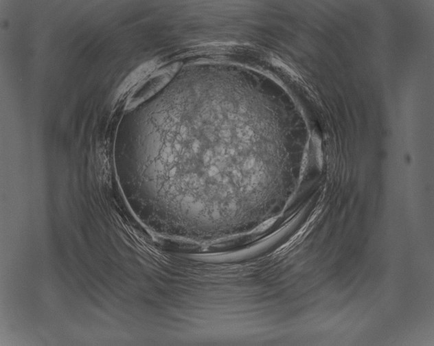 X0000070191354200605301302