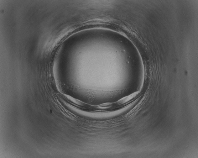 X0000070191355200605301302