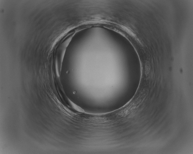 X0000070191356200605301302