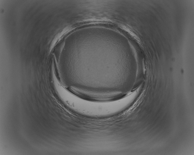 X0000070191357200605301302