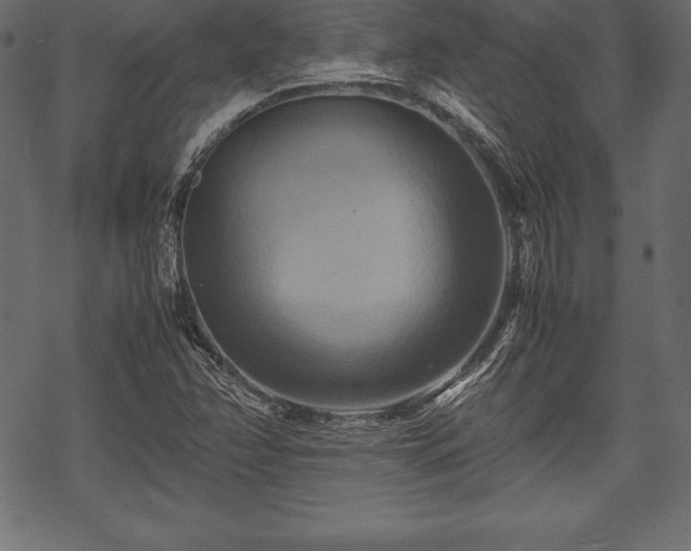 X0000070191358200605301302