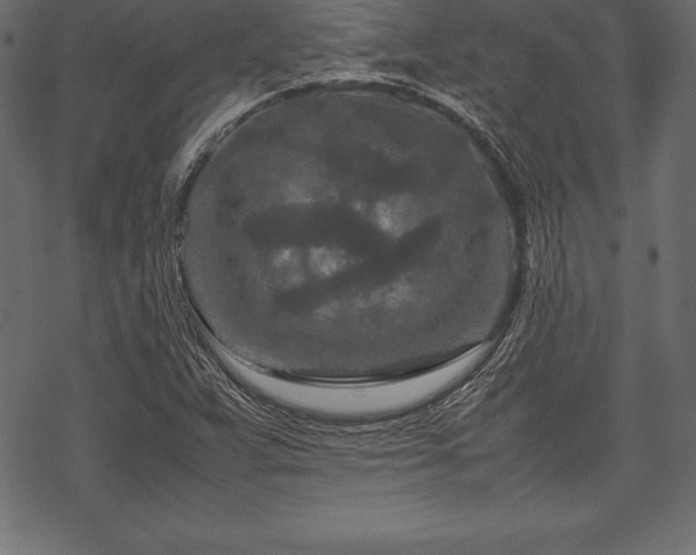 X0000070191359200605301302