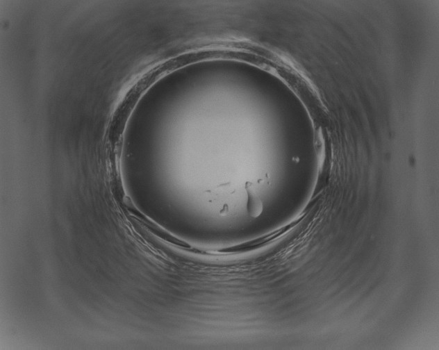 X0000070191360200605301302