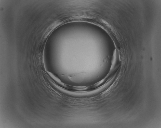 X0000070191361200605301302